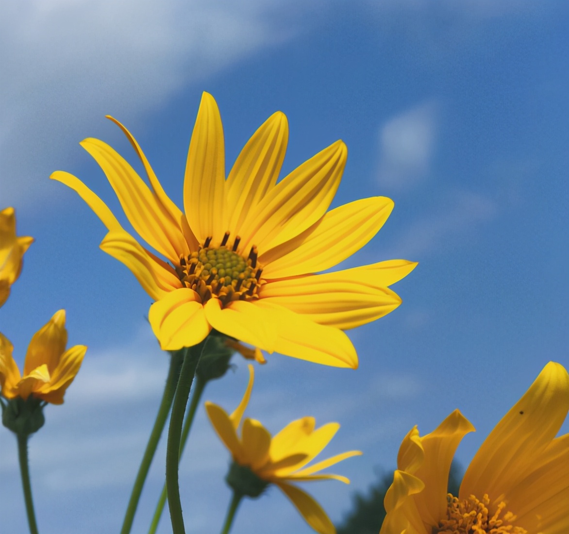 越是無人懂你，越要愛自己（沒有人會永遠愛你，除了你自己）