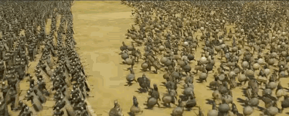 地球上最成功的植物，1萬(wàn)年前操縱智人，占地面積將近10個(gè)英國(guó)