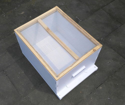 新手養(yǎng)蜜蜂死了是怎么回事（剛來(lái)的野蜂，不久全部死亡，什么原因）