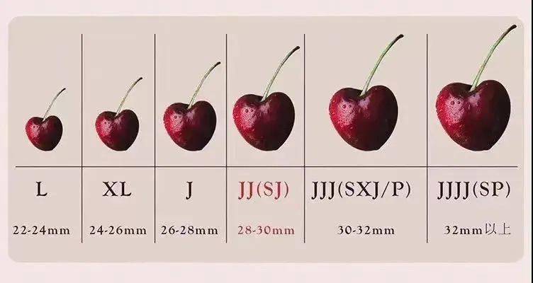 車厘子幾個j代表什么意思(車厘子選購干貨) 車厘子幾個j代表什么意思(車厘子選購干貨)
