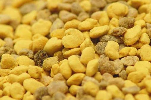 蜂花粉怎么吃效果最好？