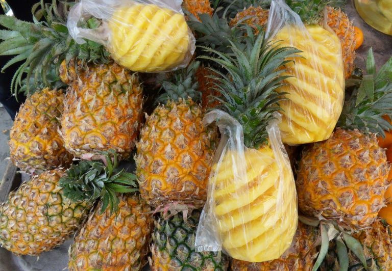 菠蘿是怎么生長(zhǎng)的（菠蘿的生長(zhǎng)過(guò)程）